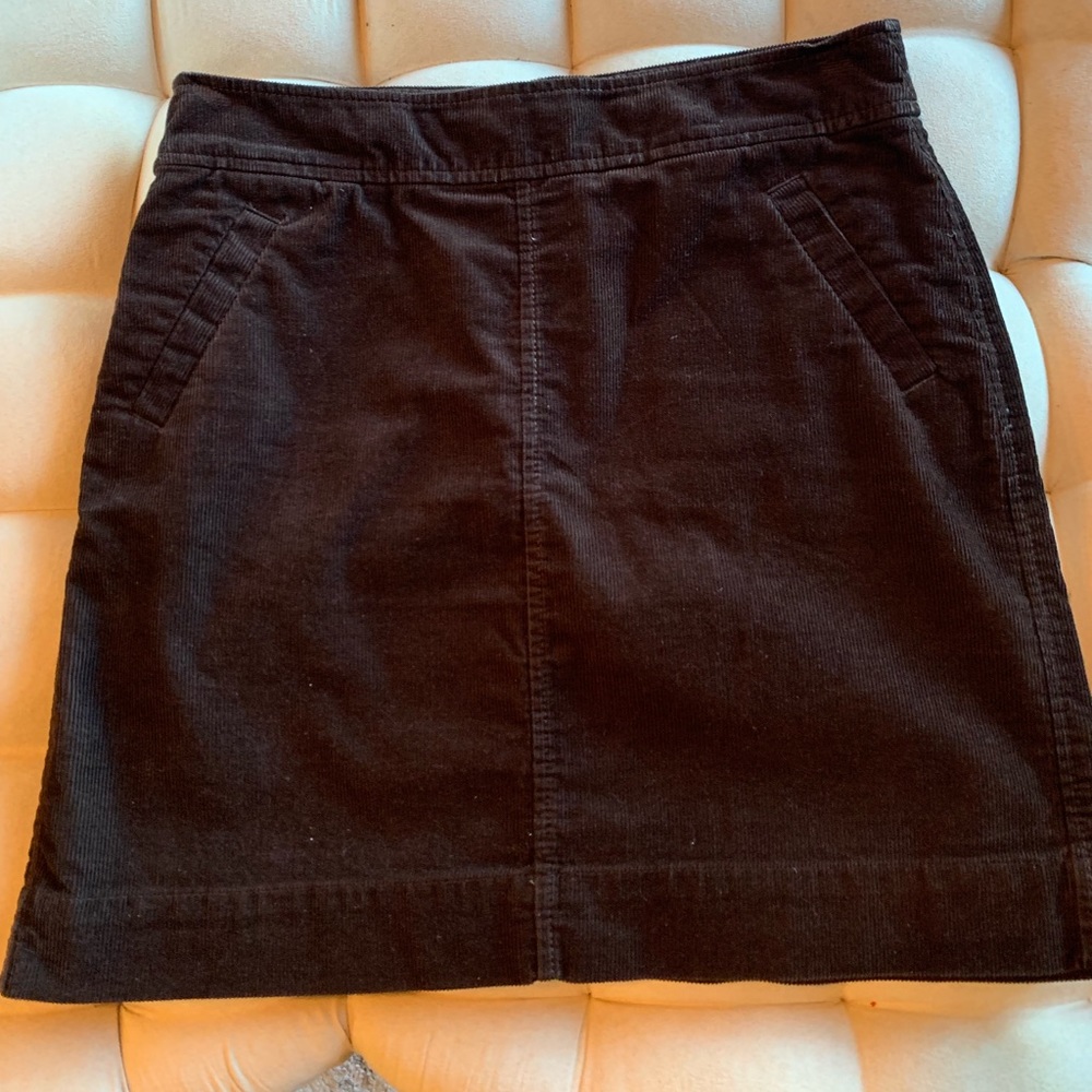Ann Taylor Loft 4P Skirt